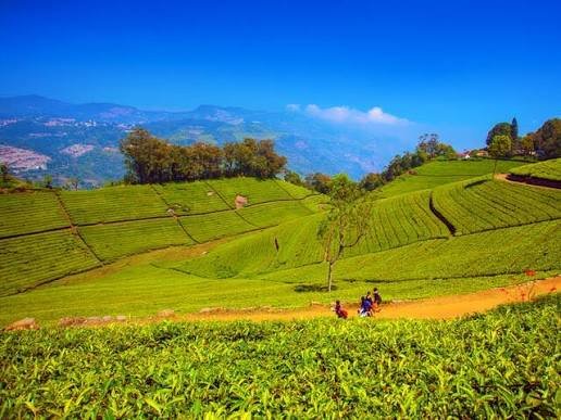 ooty image